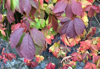 Herbst-Eisacktal07