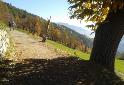 Herbst im Eisacktal - Kastanienweg 4