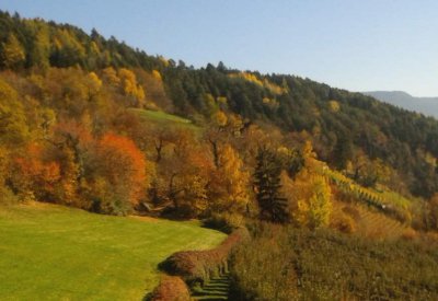 Herbst im Eisacktal - Kastanienweg 7