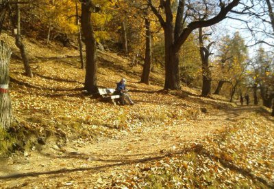 Herbst im Eisacktal - Kastanienweg 8